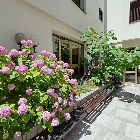 Mediterranean Hostel