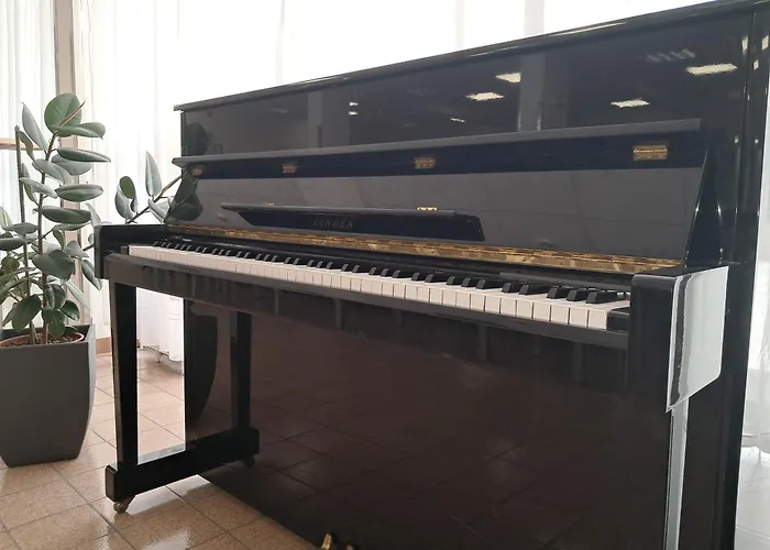 旅馆 Mediterranean