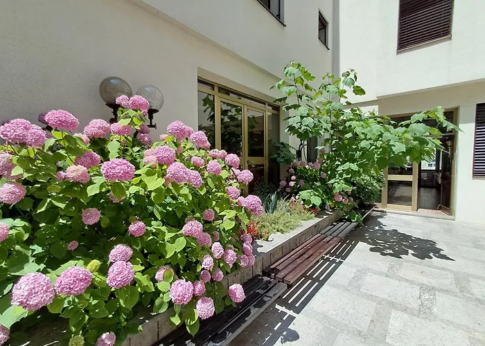 Mediterranean Hostel